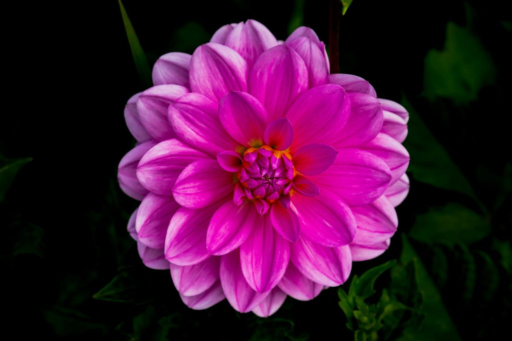 Relaciones plenas y felices: estrategias para cultivar amistades y amor después de los 50 - Como conhecer pessoas interessantes, após os 50 anos